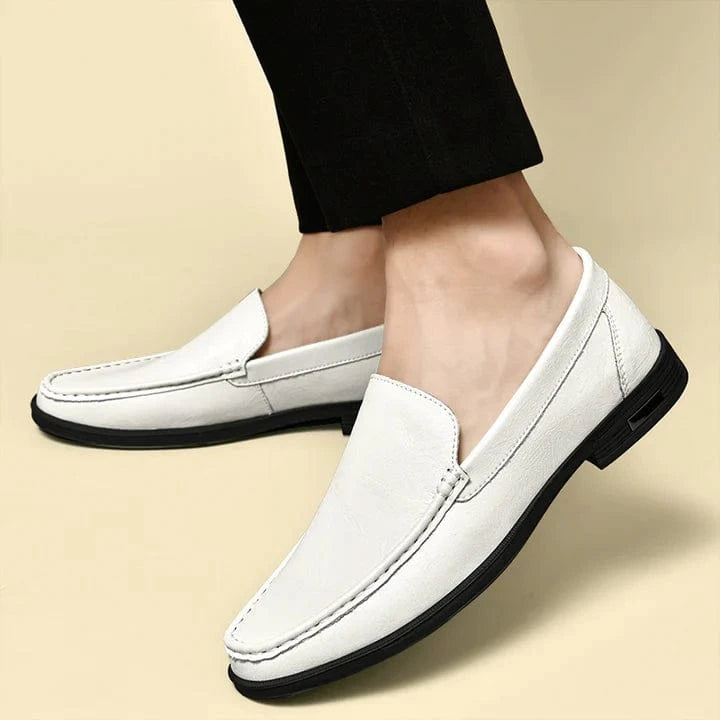Alexander Cole Loafers