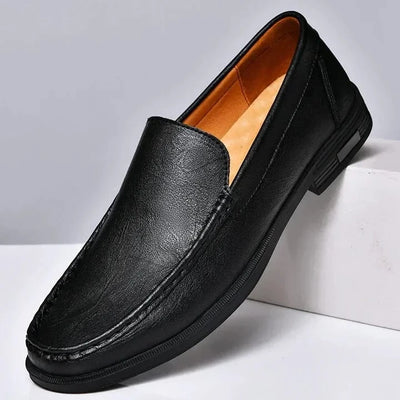 Alexander Cole Loafers