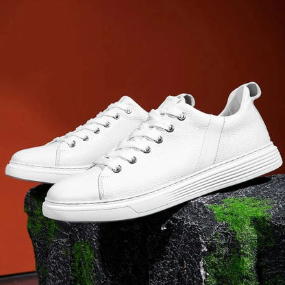 Royal Genuine Leather Shoes