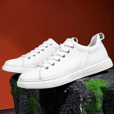 Royal Genuine Leather Shoes