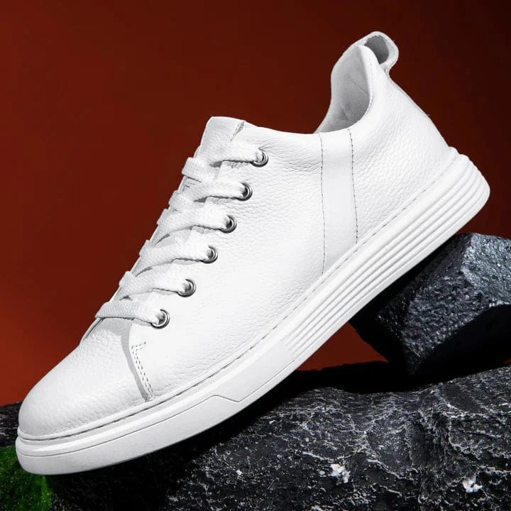 Royal Genuine Leather Shoes